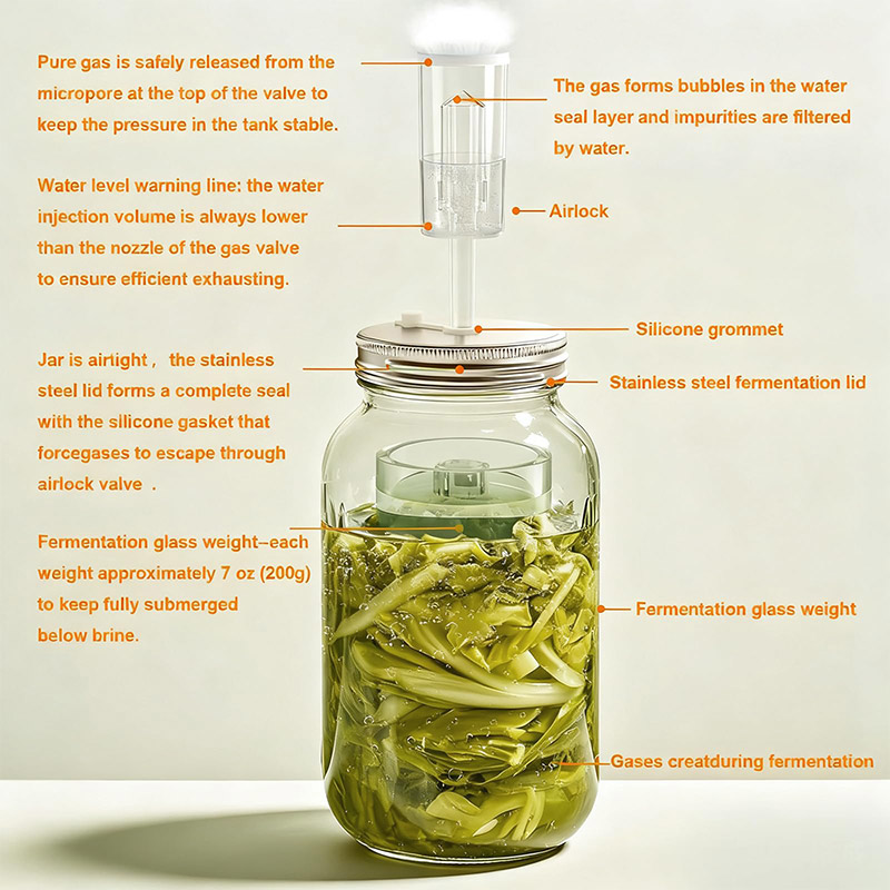 طقم تخمير، برطمانات ماسون واسع - مراجعة Fermentation Crock وسعره